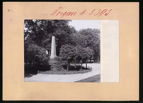 Fotografie Brück & Sohn Meissen, Ansicht Torgau, Kriegerdenkmal in der Promenade