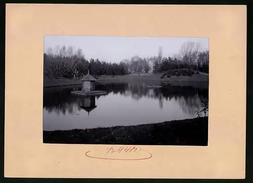 Fotografie Brück & Sohn Meissen, Ansicht Wurzen, Teich im Stadtpark mit Vogelinsel