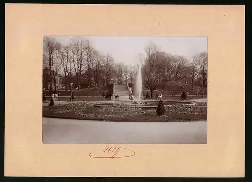 Fotografie Brück & Sohn Meissen, Ansicht Freiberg / Sachsen, Wasserfontäne im Albertpark