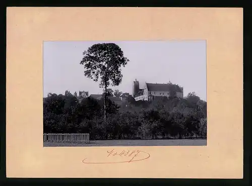 Fotografie Brück & Sohn Meissen, Ansicht Strehla, Blick zum Schloss