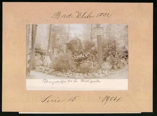 Fotografie Brück & Sohn Meissen, Ansicht Bad Elster, Felsengruppe an der Waldquelle