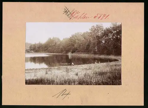 Fotografie Brück & Sohn Meissen, Ansicht Schmannewitz, Waldteich mit Freibad