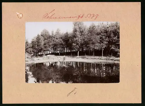 Fotografie Brück & Sohn Meissen, Ansicht Schmannewitz, Teich im neuen Park