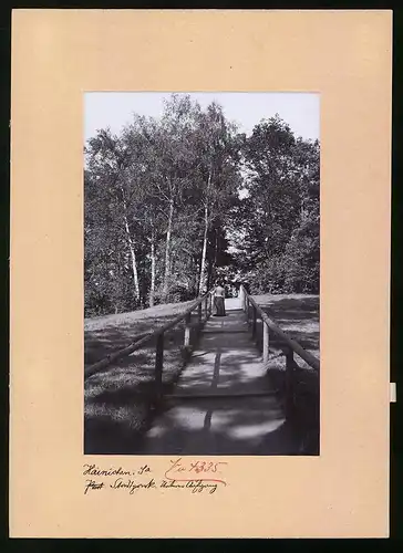 Fotografie Brück & Sohn Meissen, Ansicht Hainichen, Partie im Stadtpark