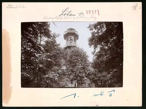 Fotografie Brück & Sohn Meissen, Ansicht Löbau i. Sa., Blick auf den Friedrich-August-Turm auf dem Löbauer Berg