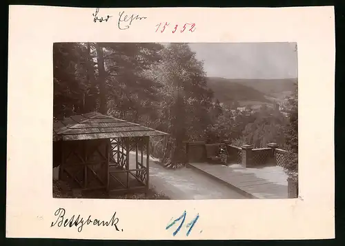 Fotografie Brück & Sohn Meissen, Ansicht Bad Elster, Partie am Aussichtspunkt Bettybank mit Holzpavillon