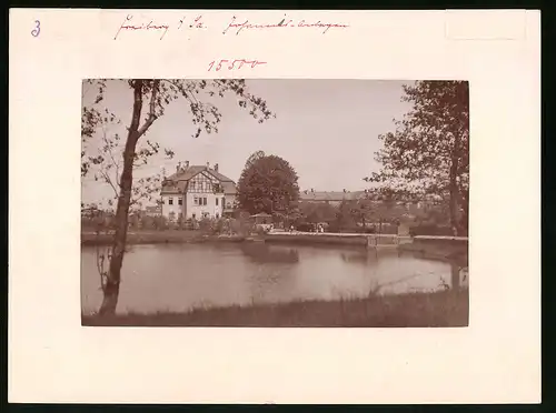 Fotografie Brück & Sohn Meissen, Ansicht Freiberg i. Sa., Teichpartie mit Blick auf die Johannisanlagen