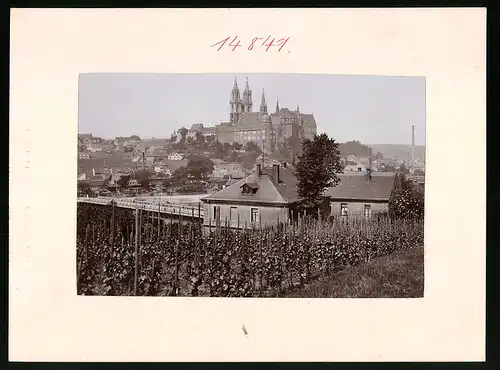 Fotografie Brück & Sohn Meissen, Ansicht Meissen i. Sa., Blick über die Stadt auf die Albrechtsburg und Dom