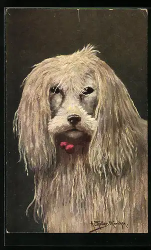 Künstler-AK August Müller - München: Hund mit langem weissem Fell