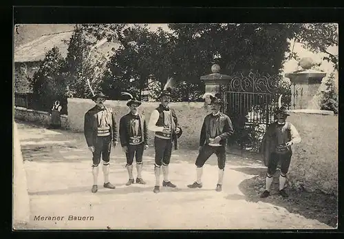 AK Meran, Meraner Bauern