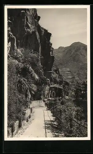 AK Bolzano, Rasseggiata Guncina