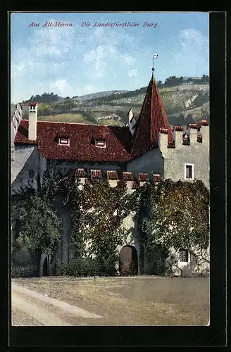 AK Meran, Die Landesfürstliche Burg in der Altstadt
