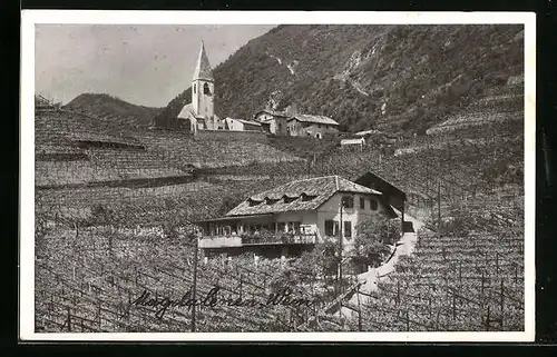 AK St. Magdalena b. Bozen, Gasthaus Untermoser mit Weinbergen