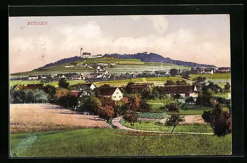 AK Bussen, Ortsansicht mit Landstrasse