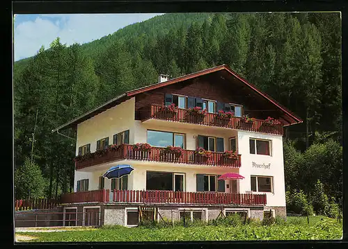 AK Steinhaus /Ahrntal, Pension Auerhof