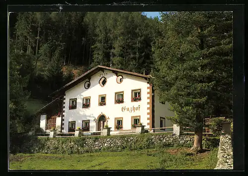 AK Steinhaus /Ahrntal, Haus Enzhof