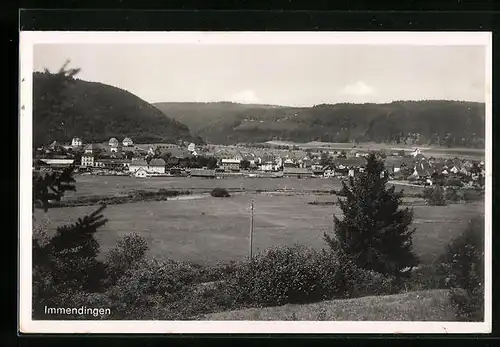 AK Immendingen, Totalansicht mit Blick über die Felder