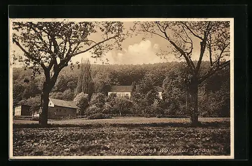 AK Bleicherode, Cafe-Restaurant Waldhaus Japan
