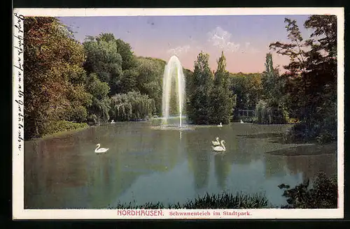 AK Nordhausen, Schwanenteich im Stadtpark mit Fontäne