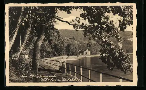 AK Waldshut a. Hochrhein, Neue Rheinpromenade