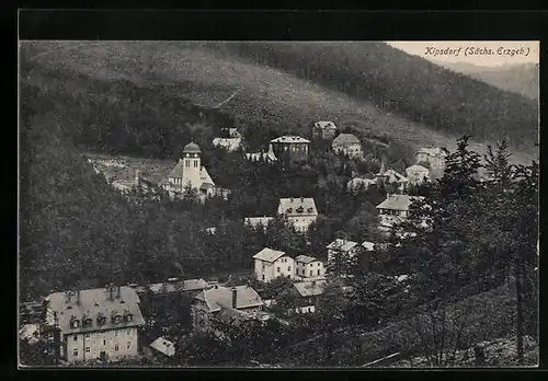 AK Kipsdorf /Sächs. Erzgeb., Teilansicht