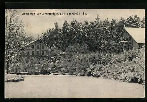 AK Langebrück, Gasthaus zur Heidemühle
