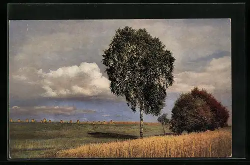 Künstler-AK Photochromie Nr. 4163: Idyllische Landschaft mit Feldern