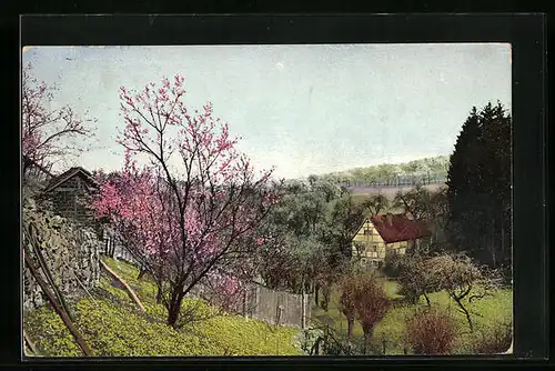 Künstler-AK Photochromie Nr. 2739: Landschaft mit Kirschblütenbaum