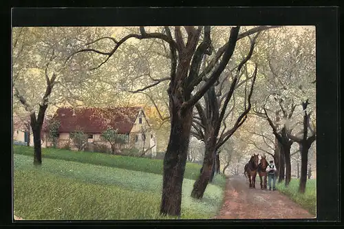 Künstler-AK Photochromie Nr. 1200: Strassenpartie mit Pferden und blühenden Bäumen