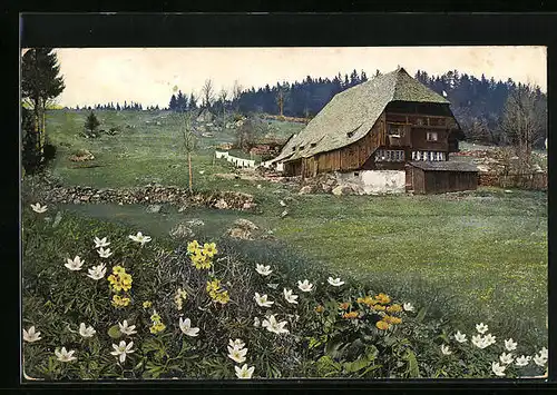 Künstler-AK Photochromie Nr. 2989: Schwarzwald, Triberg