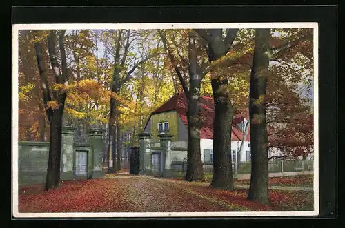Künstler-AK Photochromie Nr. 5275: Einfahrt zum Anwesen im Herbst