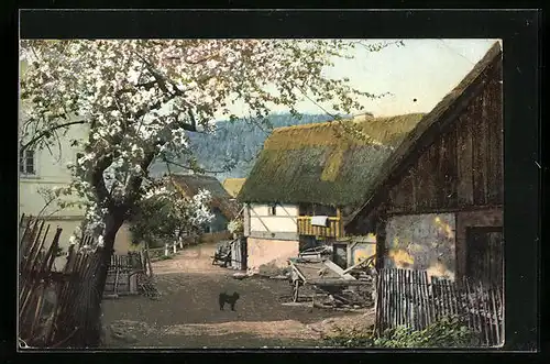 Künstler-AK Photochromie Nr. 1284: Dorfansicht mit Hund und Kirschbaum