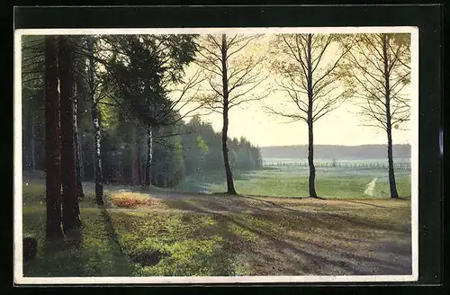 Künstler-AK Photochromie Nr. 5146: Waldesrand mit Wiese