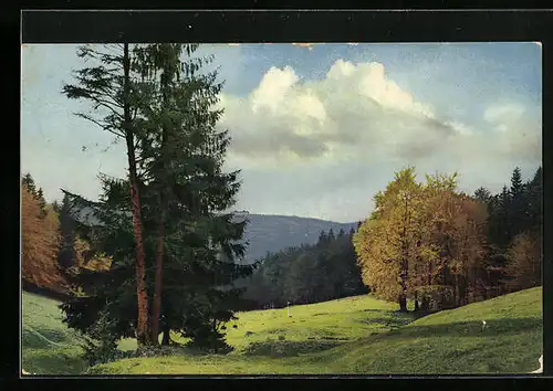 Künstler-AK Photochromie Nr. 2564: Idyllische Landschaft im Grünen