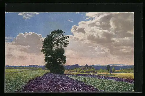 Künstler-AK Photochromie Nr. 4138: Landschaft mit Feldern