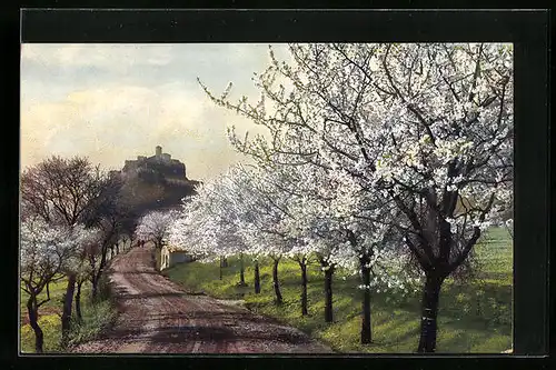 Künstler-AK Photochromie Nr. 2502: Strassenpartie mit Blick zur Burg