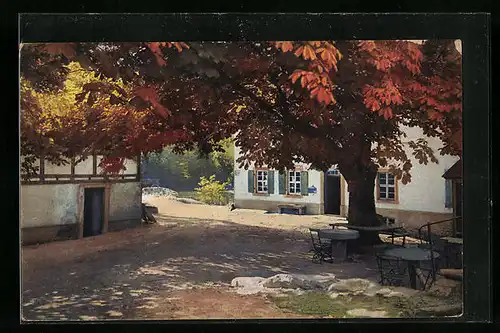 Künstler-AK Photochromie Nr. 4179: Dorfpartie im Herbst