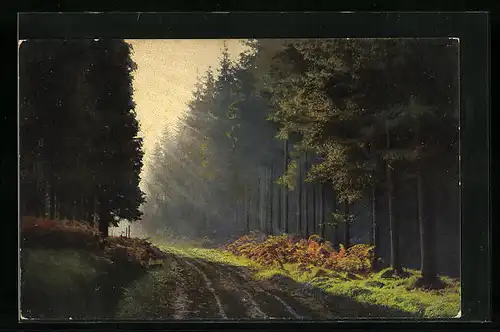Künstler-AK Photochromie Nr. 2282: Waldweg mit aufgehender Sonne