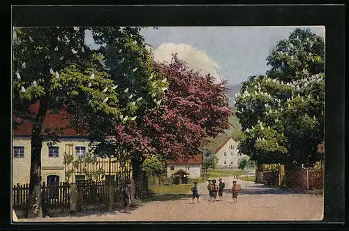 Künstler-AK Photochromie Nr.: 4086, Strassenpartie mit blühenden Kastanien