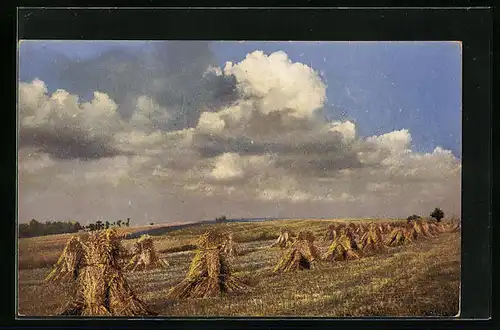 Künstler-AK Photochromie Nr.: 4166, Strohpuppen auf dem Feld