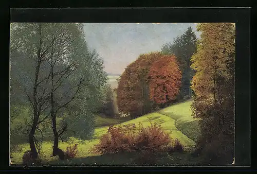 Künstler-AK Photochromie Nr.: 2542, Bunte Herbstlandschaft