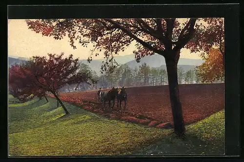 Künstler-AK Photochromie Nr.: 4002, Feldarbeit im Herbst