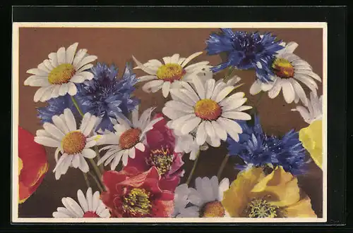 Künstler-AK Photochromie Nr.: 1984, Margeriten, Mohn, Kornblumen