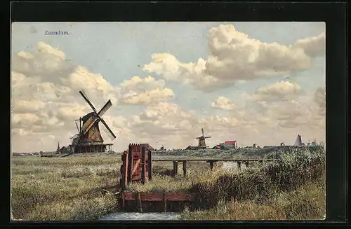 Künstler-AK Photochromie Nr.: 2945, Zaandam, Windmühlen am Feld