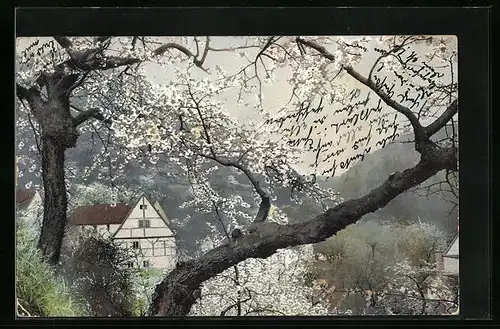 Künstler-AK Photochromie Nr.: 1571, Obstblüte vor Fachwerkhaus