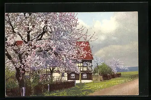 Künstler-AK Photochromie Nr.: 4898, Obstblüte vor Fachwerkhaus