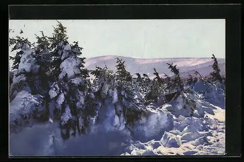 Künstler-AK Photochromie Nr.: 4219, Winterlandschaft vor Berggipfel
