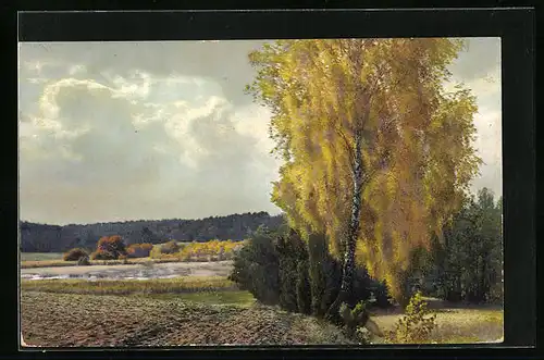Künstler-AK Photochromie Nr.: 2307, Herbstlandschaft mit Birke
