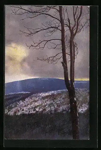 Künstler-AK Photochromie Nr.: 4226, Berggipfel hinterm Baum