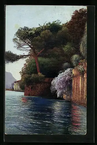 Künstler-AK Photochromie Nr.: 3275, Lago Maggiore, Isola Bella